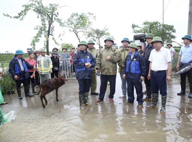 Giám đốc Công an Hà Nội Nguyễn Hải Trung kiểm tra công tác phòng chống mưa, úng ngập tại huyện Mê Linh- Ảnh 2.