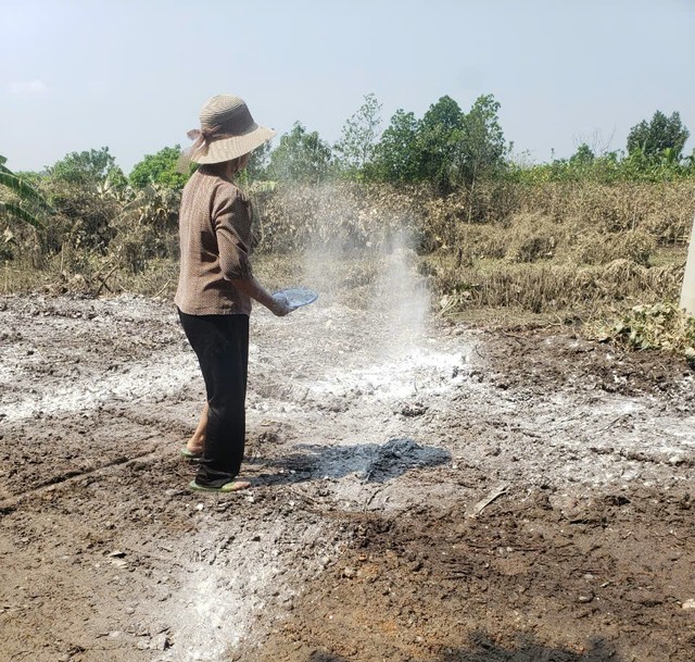 Huyện Mê Linh đồng loạt ra quân tổng vệ sinh môi trường, phòng chống dịch bệnh sau bão số 3- Ảnh 8.