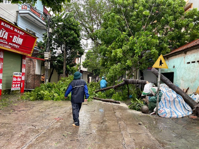 Xã Tiến Thịnh chủ động, tích cực ứng phó với  cơn  bão số 3 (Yagi)- Ảnh 6.