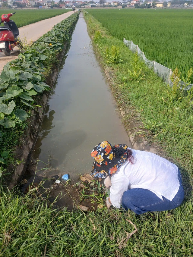 Hội Nông dân xã Liên Mạc tổ chức thu gom bao bì thuốc bảo vệ thực vật trên các cánh đồng- Ảnh 4. Hội Nông dân xã Liên Mạc tổ chức thu gom bao bì thuốc bảo vệ thực vật trên các cánh đồng- Ảnh 4.