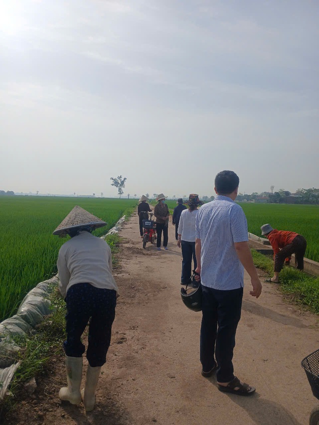 Hội Nông dân xã Liên Mạc tổ chức thu gom bao bì thuốc bảo vệ thực vật trên các cánh đồng- Ảnh 2. Hội Nông dân xã Liên Mạc tổ chức thu gom bao bì thuốc bảo vệ thực vật trên các cánh đồng- Ảnh 2.