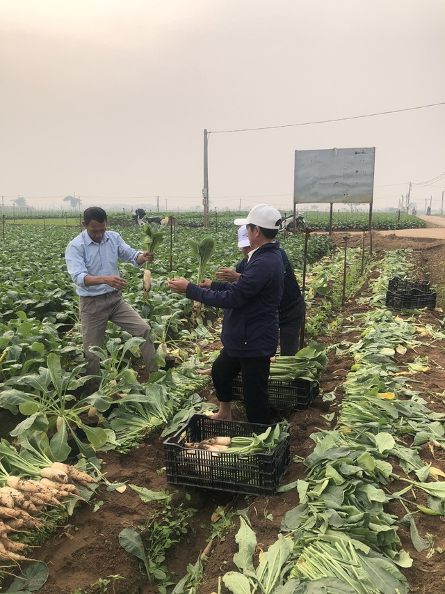 Hội Nông dân xã Tráng Việt: Thực hiện kiểm tra giám sát hoạt động ủy thác với Ngân hàng chính sách xã hội năm 2025- Ảnh 2. Hội Nông dân xã Tráng Việt: Thực hiện kiểm tra giám sát hoạt động ủy thác với Ngân hàng chính sách xã hội năm 2025- Ảnh 2.