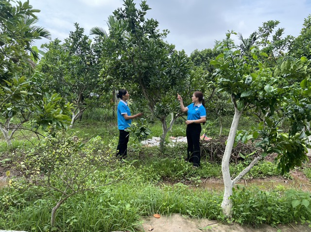 Thành viên Ban đại diện HĐQT NHCSXH huyện Mê Linh thực hiện Kiểm tra, giám sát các hoạt động tín dụng chính sách tại xã Tiến Thịnh- Ảnh 1. Thành viên Ban đại diện HĐQT NHCSXH huyện Mê Linh thực hiện Kiểm tra, giám sát các hoạt động tín dụng chính sách tại xã Tiến Thịnh- Ảnh 1.