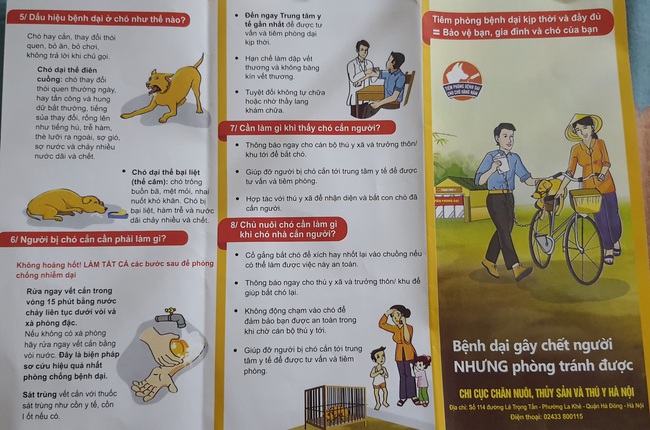 Thị trấn Quang Minh tổ chức hội nghị tập huấn, tuyên truyền các biện pháp phòng, chống bệnh dại động vật- Ảnh 2.