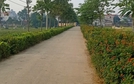 Thôn 2 xã Thạch Đà xây dựng tuyến đường hoa kiểu mẫu để chào mừng huyện Mê Linh đạt chuẩn nông thôn mới