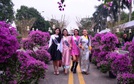 Các thí sinh dự thi Hoa hậu Du lịch Thế giới thăm quan, làm lễ dâng hương Đền Hai Bà Trưng và trải nghiệm tại Lễ hội hoa Mê Linh