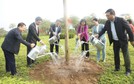 Phó Bí thư Thường trực Thành ủy Nguyễn Thị Tuyến dự lễ phát động Tết trồng cây đầu xuân và thăm đồng, động viên nông dân xuống đồng sản xuất tại huyện Mê Linh