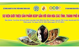 Sự kiện giới thiệu sản phẩm OCOP gắn với văn hóa 
các các tỉnh, thành phố Nam Bộ tại Khu Di tích Quốc gia đặc biệt đền Hai Bà Trưng, huyện Mê Linh

