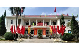Xã Thanh Lâm tích cực chỉnh trang cảnh quan, trang trí, tuyên truyền, tổng vệ sinh môi trường chào xuân mới- Giáp Thìn 2024