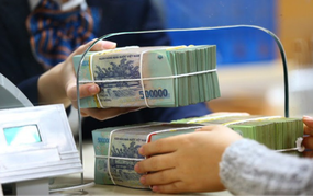 Thực hiện giảm lãi suất cho vay đối với khách hàng vay vốn Ngân hàng Chính sách xã hội (NHCSXH) bị ảnh hưởng của bão số 3 (YAGI)