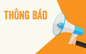 Thông báo đấu giá Quyền sử dụng đất ở tại điểm X1, xứ đồng Làng Gàn, thôn Văn Lôi, xã Tam Đồng, huyện Mê Linh, TP. Hà Nội