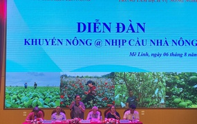 Mê Linh: Sôi nổi Diễn đàn Khuyến nông @ Nhịp cầu nhà nông