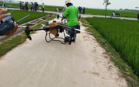 CÔNG TÁC PHUN THUỐC PHÒNG TRỪ SÂU BỆNH HẠI LÚA VỤ XUÂN TRÊN ĐỊA BÀN XÃ LIÊN MẠC