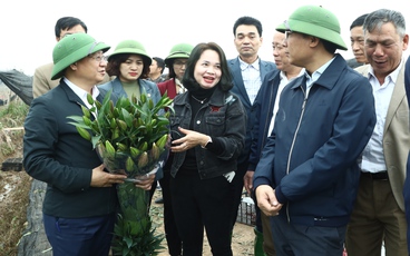 Hội Nông dân huyện Mê Linh - Một nhiệm kỳ nhìn lại