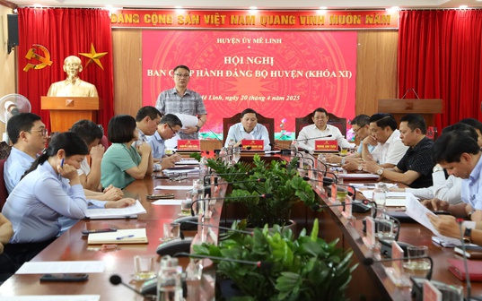 Ban Chấp hành Đảng bộ huyện Mê Linh cho ý kiến về phương án sắp xếp đơn vị hành chính cấp xã trên địa bàn huyện