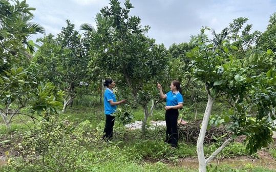Thành viên Ban đại diện HĐQT NHCSXH huyện Mê Linh thực hiện Kiểm tra, giám sát các hoạt động tín dụng chính sách tại xã Tiến Thịnh