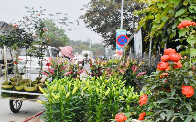 Chợ Hoa xã Mê Linh với đủ loại Hoa muôn sắc màu, sản phẩm của địa phương. Do năm nay huyện làm tốt công tác tuyên truyền về đảm bảo An toàn giao thông tại chợ hoa, nên người dân chấp hành tốt quy định