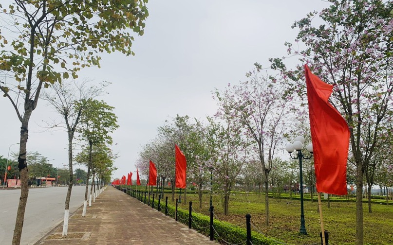 Con đường trong khu Hành chính huyện Mê Linh trở nên thơ mộng, lung linh bởi sắc màu rực rỡ của loài hoa đặc trưng núi rừng Tây Bắc.